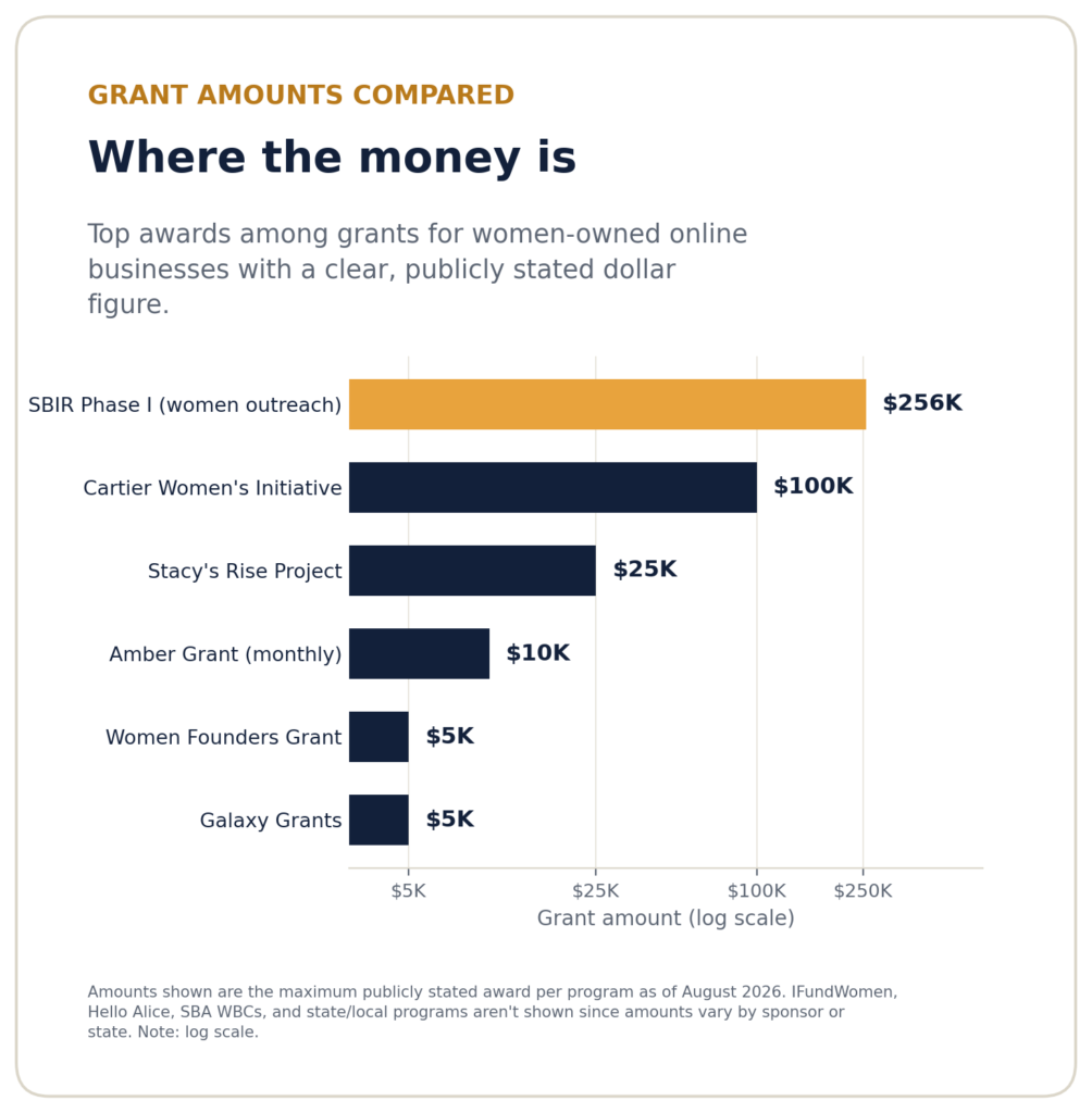 Log-scale bar chart comparing grants for women-owned online businesses, from Galaxy Grants at $5,000 to SBIR Phase I awards at $256,000